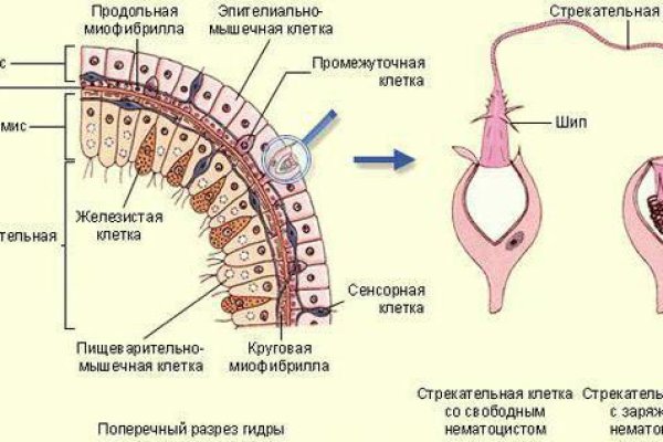 Kra26.cc