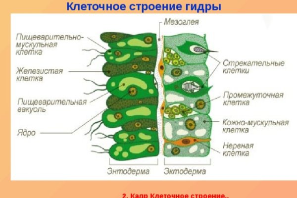 Darknet ссылки