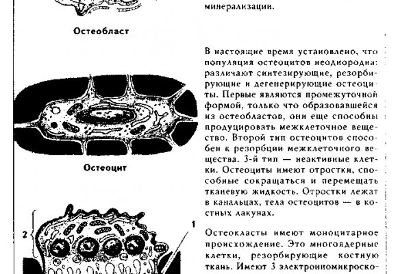 Как найти кракен в торе