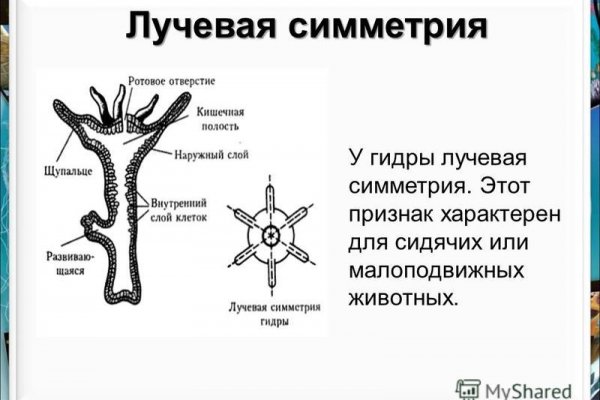 Как сделать заказ на кракен