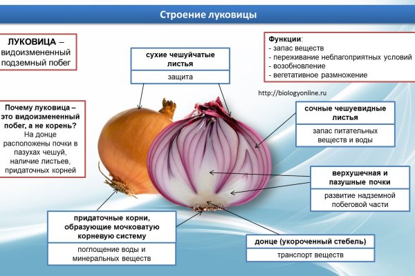 Как вывести деньги с кракена тор